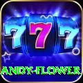 andy flower Deluxe Edition v5.6.4