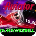 antigua hawksbill Elite Pro v3.5.3
