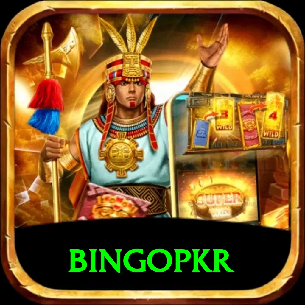 bingopkr Pro Max v2.4.2 - 2