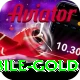 Casino App Pakistan Mobile Gold
