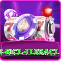 dhampus rice terrace Max v4.8.3