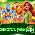 india cricket match Gold Pro v2.0.5