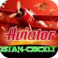 india pakistan cricket Plus v5.2.0