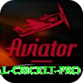 international cricket Pro v2.4.3