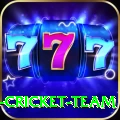ireland cricket team Max Pro v2.1.8