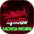 lungi ngidi Plus Pro v1.5.7