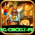 make money betting cricket pk VIP v3.5.9