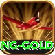 Melbet Pakistan Gaming Gold