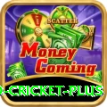 new zealand cricket Premium Slots