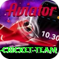 pakistan women cricket team Games (Casino & Earning) Ultimate v1.4.9