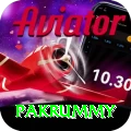 pakrummy Master v4.0.9