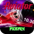 pkspin Pro Max vv4.2.3