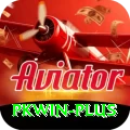 pkwin Plus Pro vv5.4.7