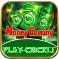 play cricket Turbo Pro v5.5.4