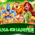 pothana dhampus Elite v3.8.3