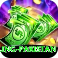 responsible gambling pakistan Master v1.1.8