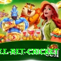 risk free bet cricket App