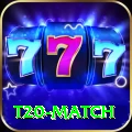 t20 match Deluxe Pro v2.4.7