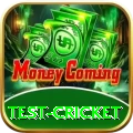 test cricket Games (Casino & Earning) Premium v5.6.3