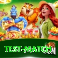 test match VIP Edition v1.7.6