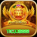 tiger888 Gold v3.6.1