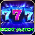 to day cricket match VIP v1.4.9