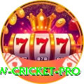 willow cricket APK VIP v3.7.4