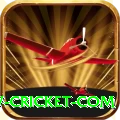 www cricket com Apps (Tools & Injectors) Premium v2.4.8